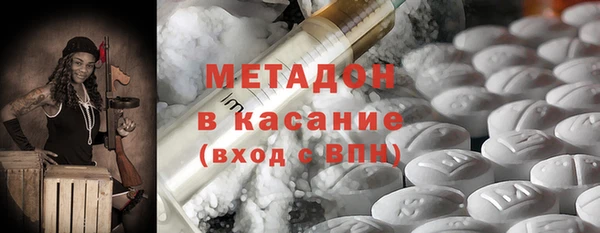 прущие грибы Аркадак