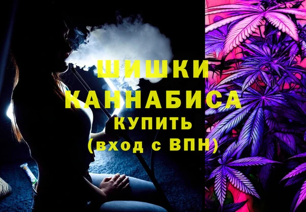 прущие грибы Аркадак