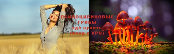 прущие грибы Аркадак