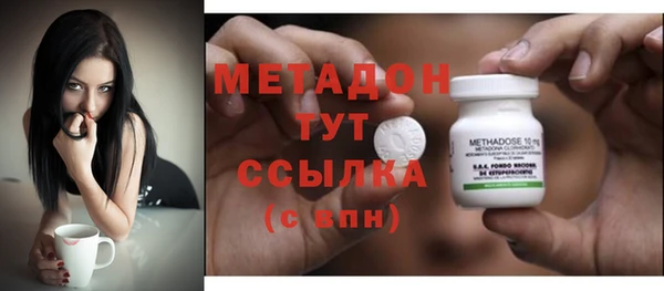 прущие грибы Аркадак