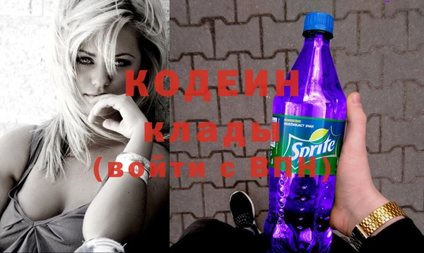 хмурый Арсеньев