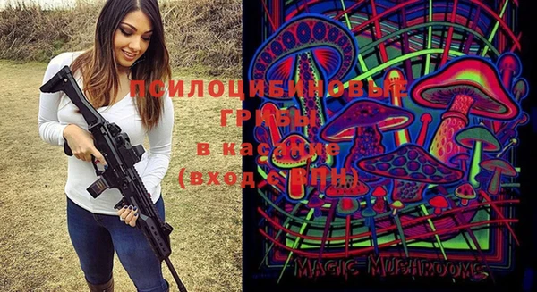 прущие грибы Аркадак