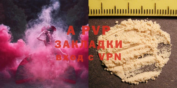 прущие грибы Аркадак