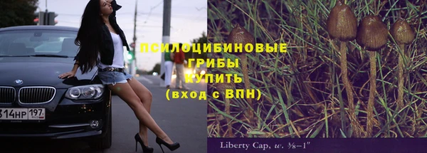 хмурый Арсеньев