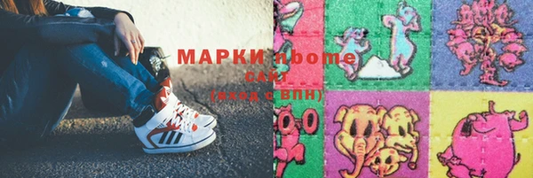 прущие грибы Аркадак
